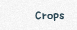 Crops