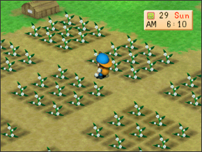 You have to plant a ton of flowers. 90+ Flowers